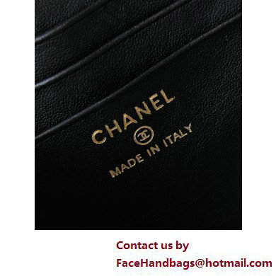 Chanel Lambskin, Resin  &  Gold-Tone Metal Clutch with Chain Bag AP3820 Black 2025